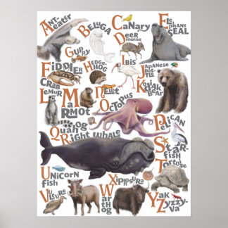 Alfabet Animals Poster