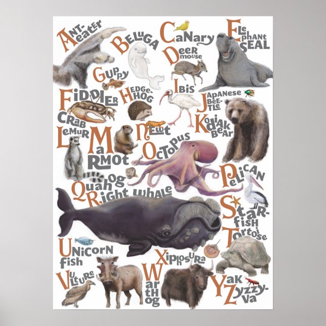 Alfabet Animals Poster (Framsidan)