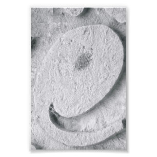 Alfabet Brev Fotografi E4 Black and White 4x6