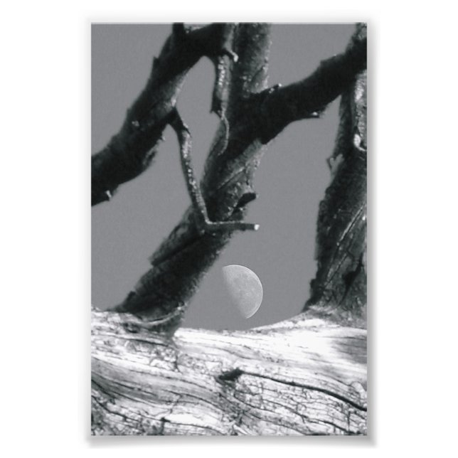 Alfabet Brev-fotografi M7, svart och vit 4 x 6 Fototryck (Framsidan)