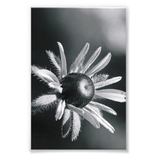 Alfabet Brev Fotografi O8 Black and White 4x6