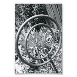 Alfabet Brev Fotografi Q1 Black and White 4x6