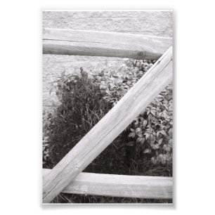 Alfabet Brev Fotografi Z2 Black and White 4x6