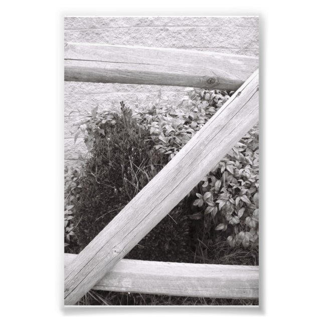 Alfabet Brev Fotografi Z2 Black and White 4x6 (Framsidan)