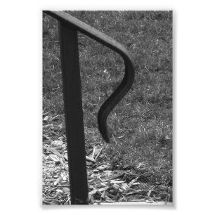 Alfabetbrev R1 svartvit 4x6 Fototryck