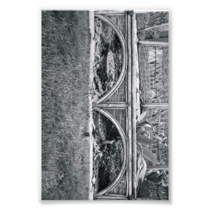 Alfabetbrevfotografi B2 svartvit 4x6 Fototryck
