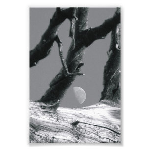 Alfabetbrevfotografi M7 svartvit 4x6 Fototryck