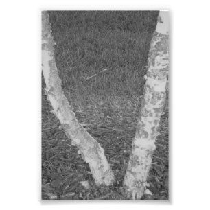 Alfabetbrevfotografi V3 svartvit 4x6 Fototryck