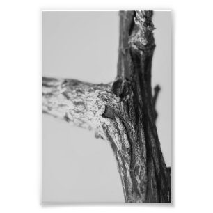 Alfabetbrevfotografi Y8 svartvit 4x6 Fototryck