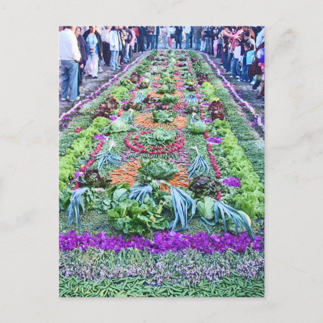 alfombra 16 vykort (Framsida)