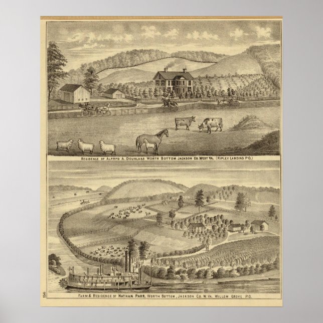 Alfred A Douglass hemvist Poster (Framsidan)