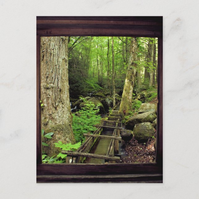 Alfred Reagans Mill Vykort (Framsida)