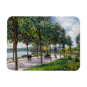 Alfred Sisley - Allee of Chestnut Träd Magnet