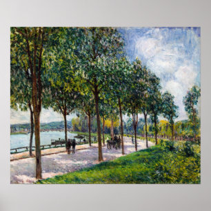 Alfred Sisley - Allee of Chestnut Träd Poster