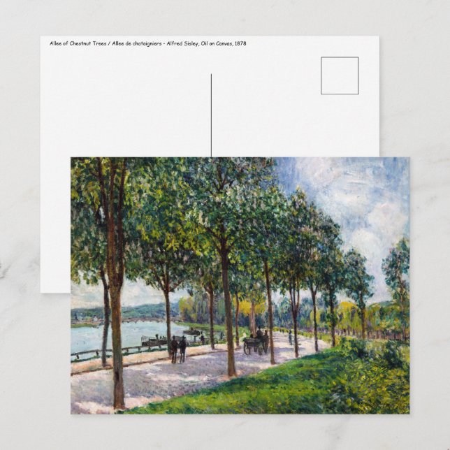 Alfred Sisley - Allee of Chestnut Träd Vykort (Fram/baksida)