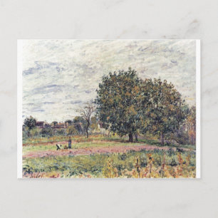 Alfred Sisley - Anfang Oktober 1882 Oil Print Vykort