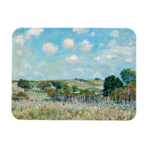 Alfred Sisley - Meadow Magnet