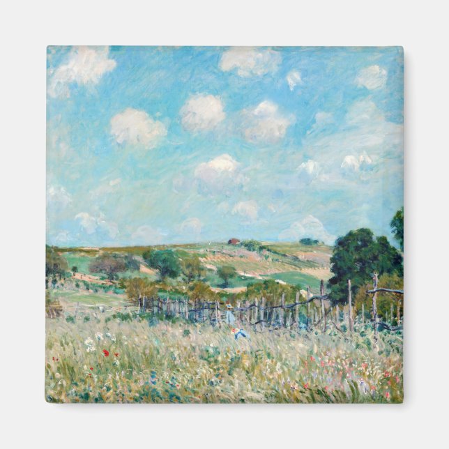 Alfred Sisley - Meadow Magnet (Framsidan)