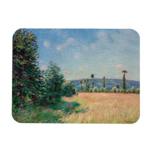 Alfred Sisley - Sahurs Meadows på morgonen Sol Magnet