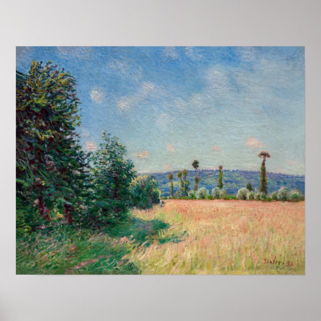 Alfred Sisley - Sahurs Meadows på morgonen Sol Poster (Framsidan)