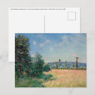 Alfred Sisley - Sahurs Meadows på morgonen Sol Vykort
