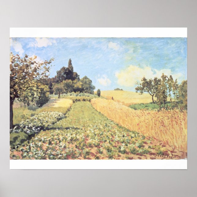 Alfred Sisley | Vete Fält Poster (Framsidan)