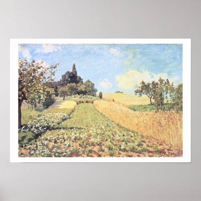 Alfred Sisley | Vete Fält Poster (Framsidan)