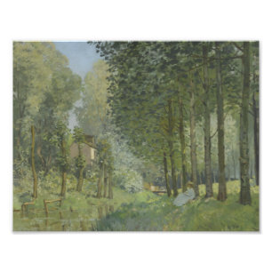Alfred Sisley - vila längs strömma Fototryck
