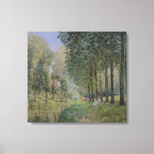 Alfred Sisley vila vid strömma Canvastryck