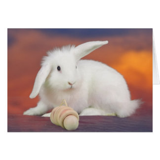 Alfredo Hälsningskort