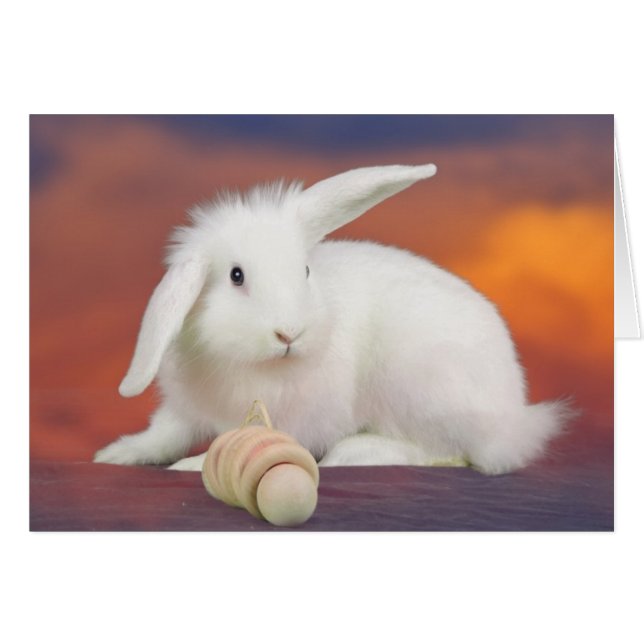 Alfredo Hälsningskort (Framsidan Horizontal)