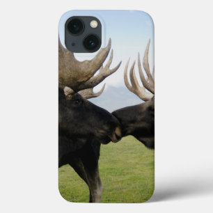 Älg