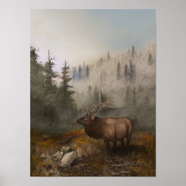 älg 12x16 poster (Framsidan)