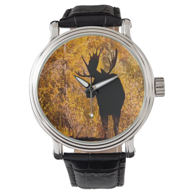 Älg (Alces Alces) Tjur i gyllene videskog 2 Armbandsur (Framsida)