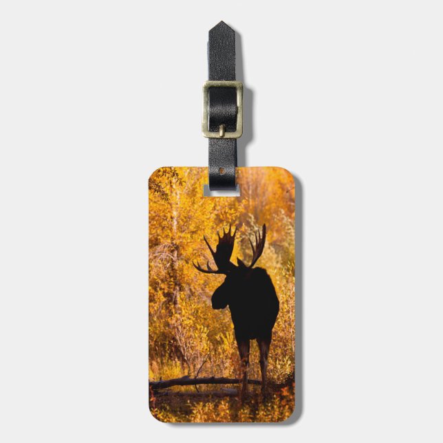Älg (Alces Alces) Tjur i gyllene videskogar 2 Bagagebricka (Vertikal Framsida)
