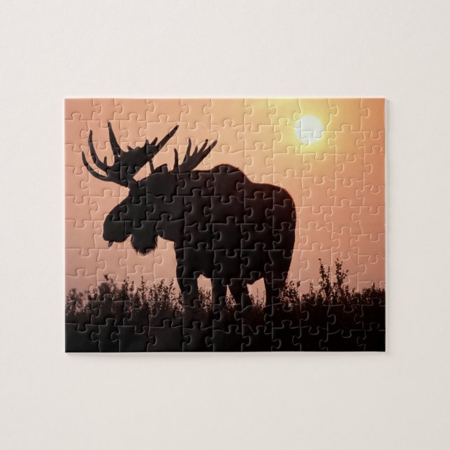 älg, Alces alces, tjur med stora horn, Pussel (Horisontell)