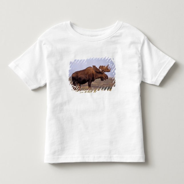 älg, Alces alces, tjur med stora horn T Shirt (Framsida)