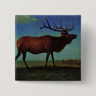 Älg av Albert Bierstadt Knapp