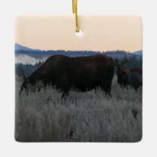 Älg betar vid soluppgången vid Grand Teton Julgransprydnad Keramik