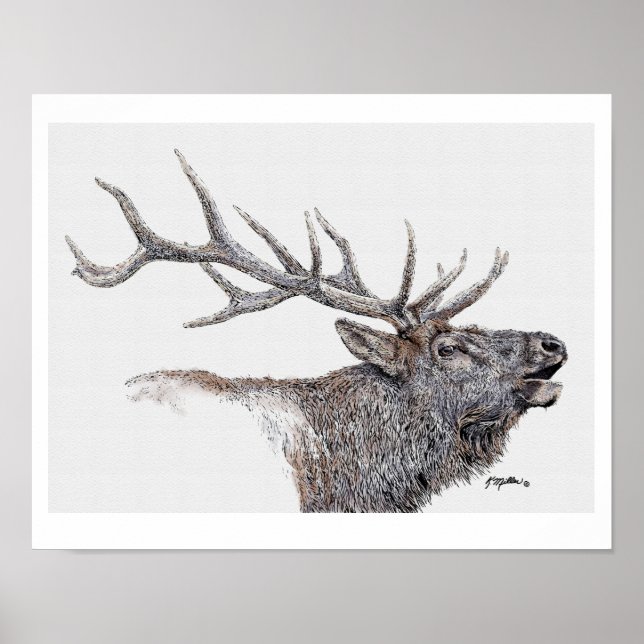 Älg bläck och akvarell poster (Framsidan)