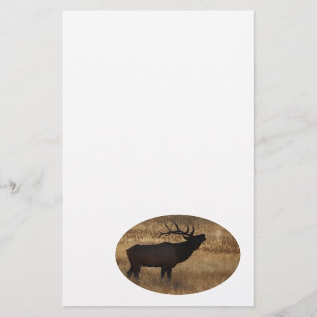 älg brevpapper (Framsida)