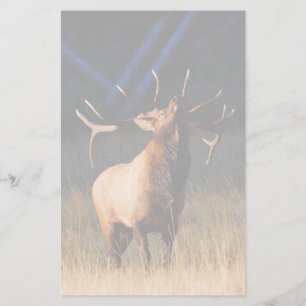 älg brevpapper