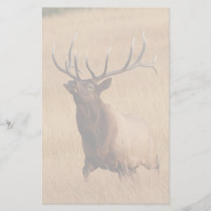 älg brevpapper