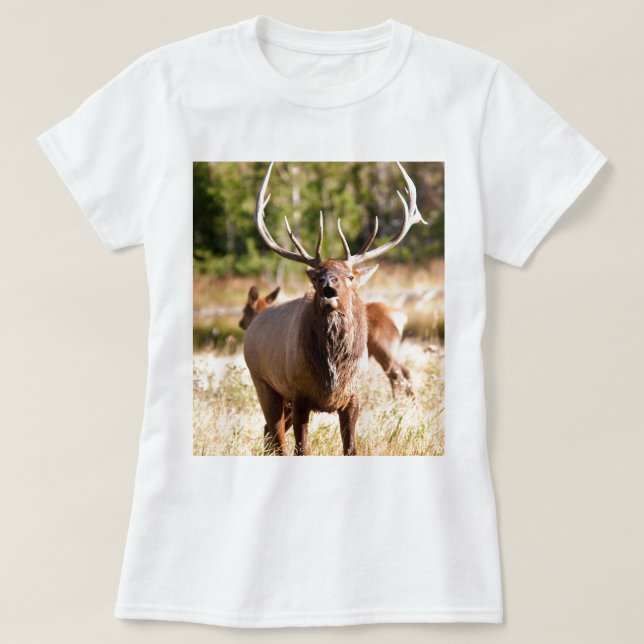 Älg Bugling Tee Shirt (Design framsida)