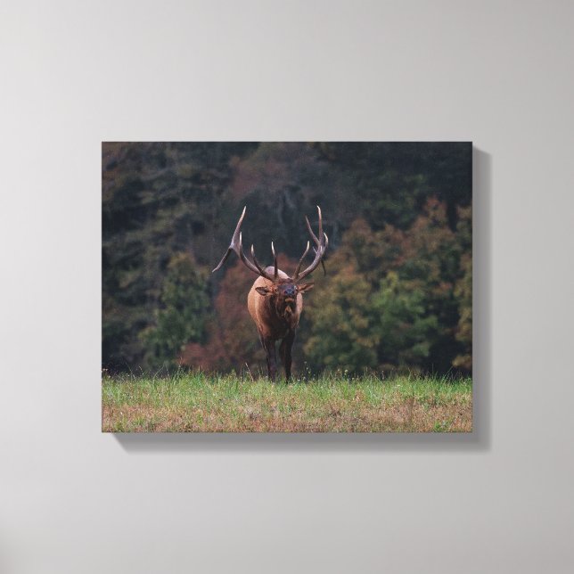 Älg Canvas (Framsida)