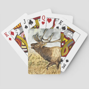 Älg Casinokort