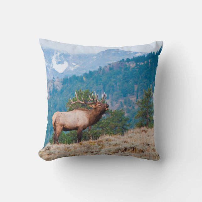 Älg (Cervus Elephus) Tjur Tjuter Kudde (Framsida)