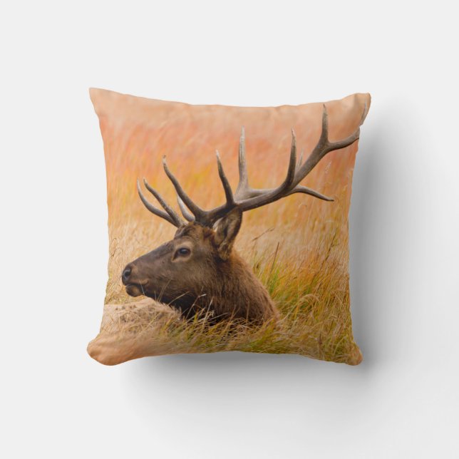 Älg (Cervus Elephus) vilar i ängsgräs Kudde (Framsida)