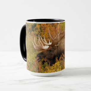 Älg Denali National Park, Alaska Mugg