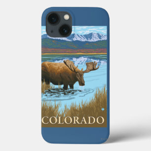 Älg drickerColorado